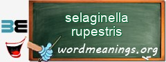 WordMeaning blackboard for selaginella rupestris